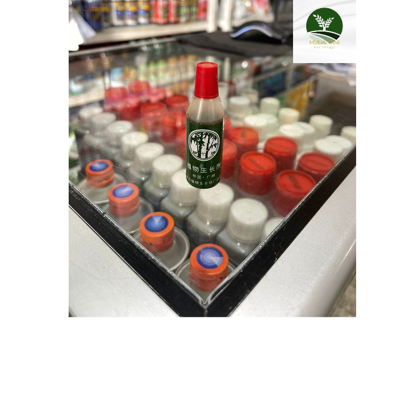 Bambu Ijo Pupuk Cair Organik 12 ML