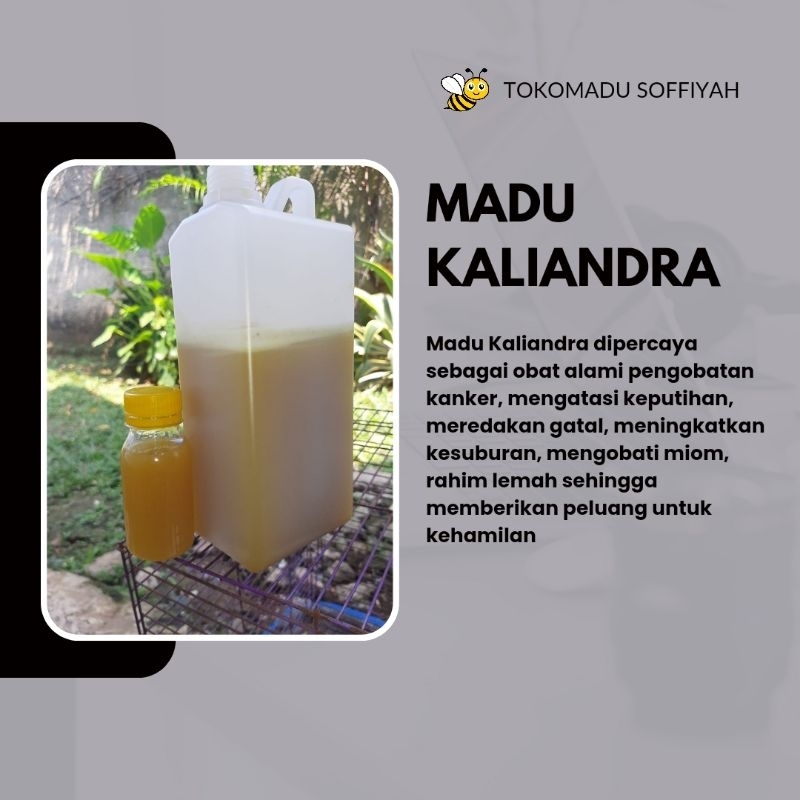 

1kg Madu Kaliandra Asli Mentah RAW HONEY 100%