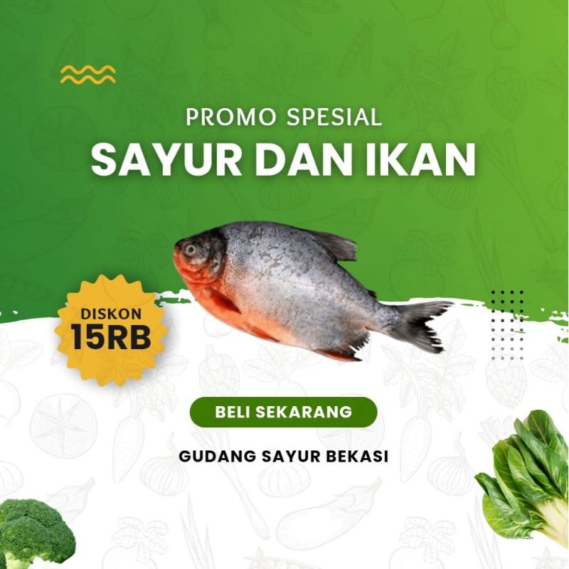 

Ikan Bawal Air Tawar 500 gr