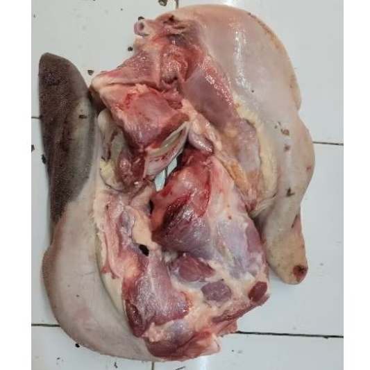 

Lidah Sapi lokal fresh Ukuran 1,5kg