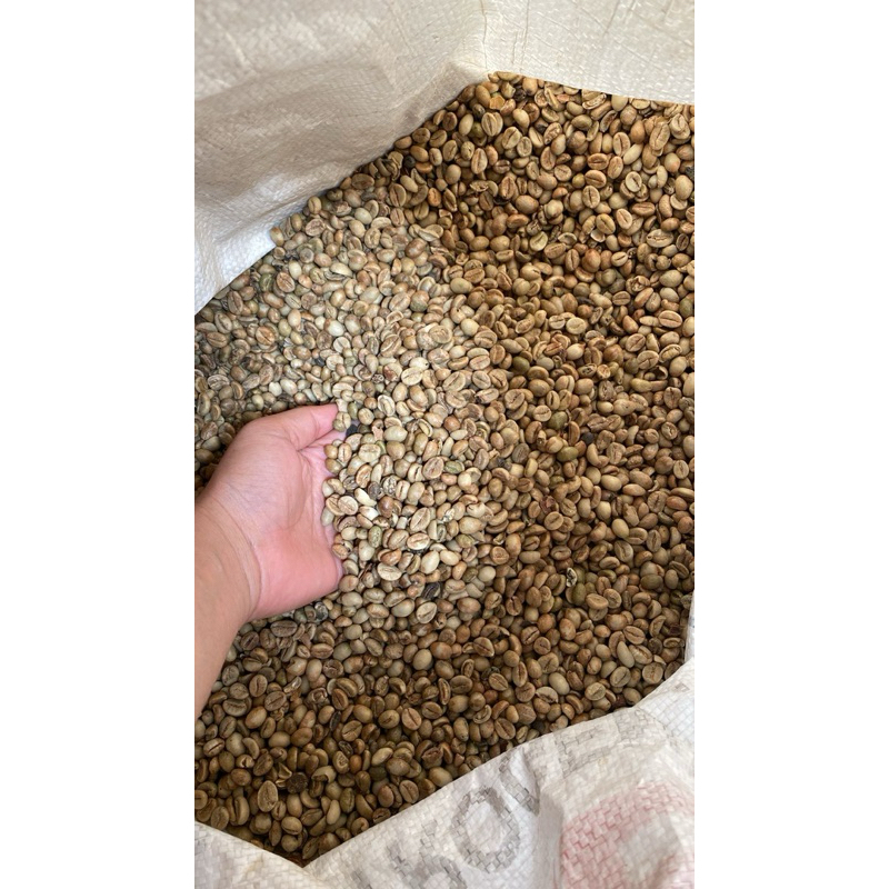 

KOPI ROBUSTA PILIHAN KEMASAN 1 KG ORIGINAL QUALITY GREEN BEAN BIJI KOPI MENTAH GRADE 1