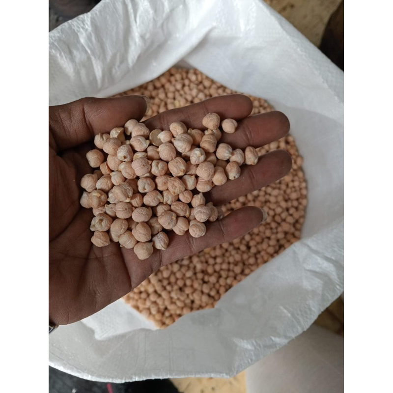 

Raw Chickpea | Kacang Arab PALING MURAH