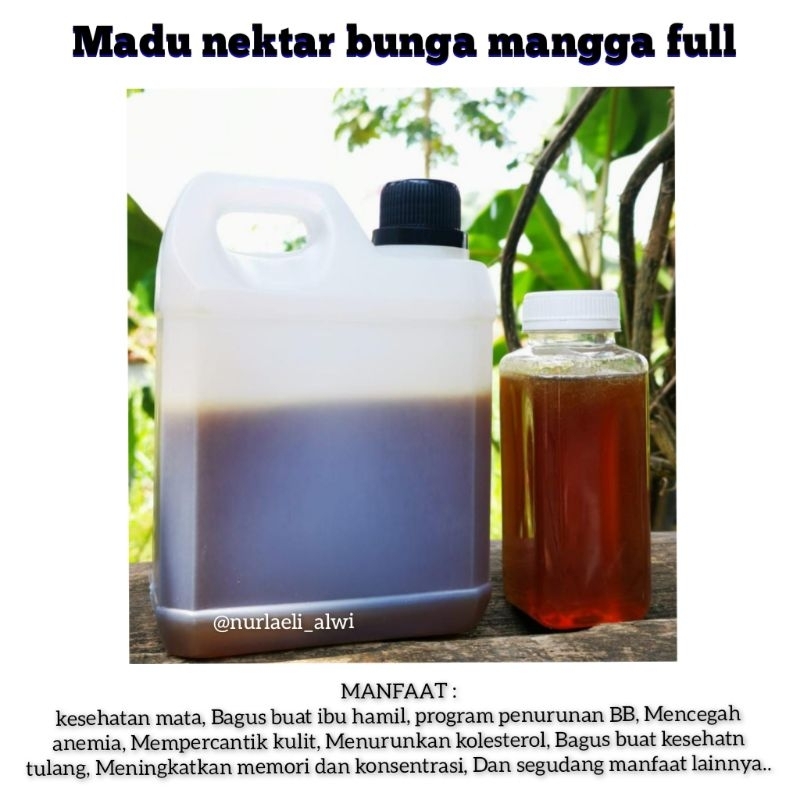 

MADU NEKTAR MANGGA MADU ASLI MADU KESEHATAN