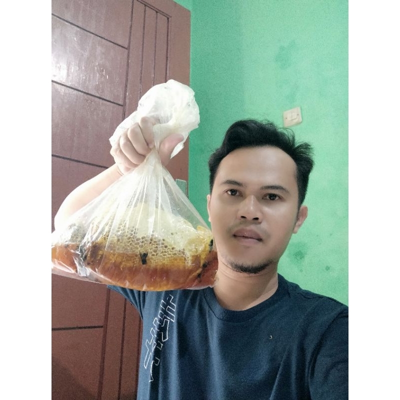 

Madu odeng 1 kg madu lebah hutan murni