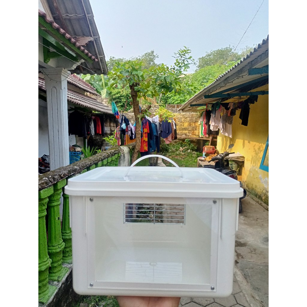 Box cargo reptil kandang travel, gecko, iguana, kura-kura dll