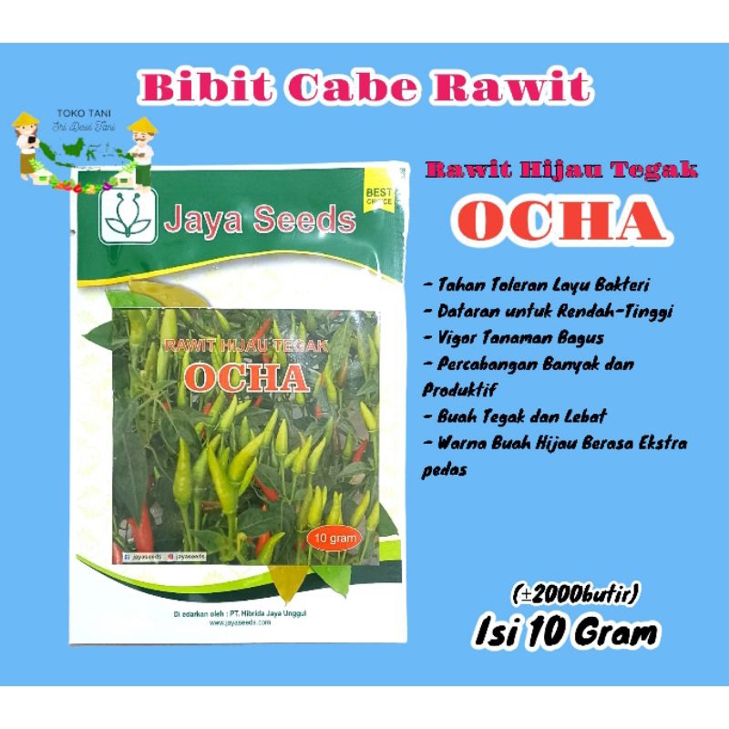 BIBIT CABE RAWIT HIJAU TEGAK OCHA 10 GRAM JAYA SEED