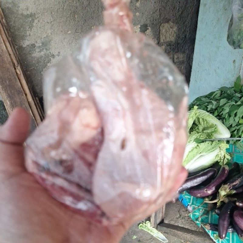 

DAGING AYAM SEGAR
