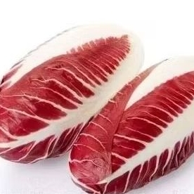 

30 biji sawi merah kemasan repacking