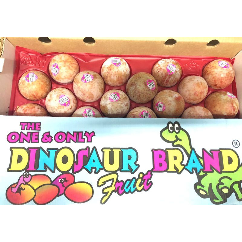 

Plum USA dino Egg / biji