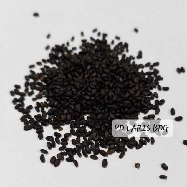 

Biji Selasih Premium REPACK 500GR (SUPER QUALITY) / Basil Seed / Termurah!!!!