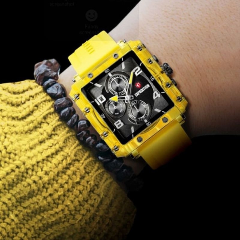 Expedition E6808 e