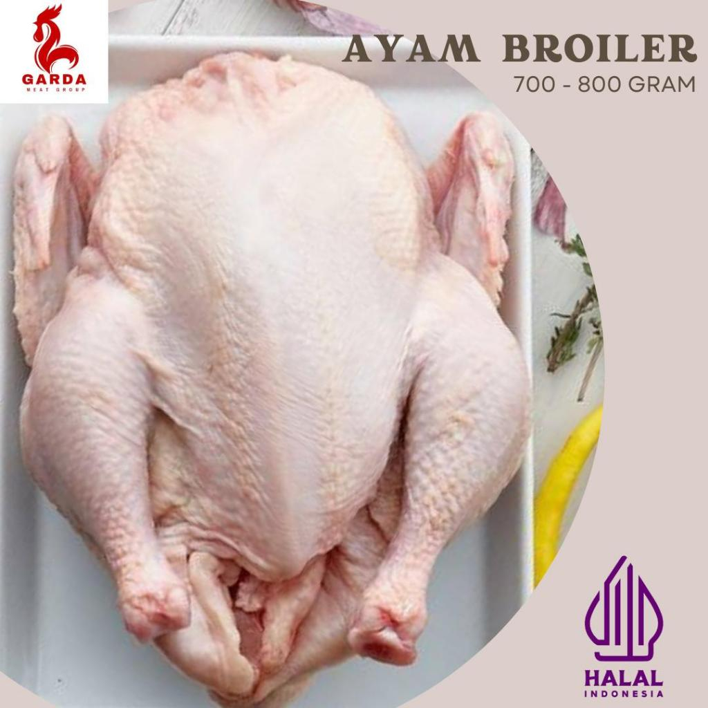 

Ayam Broiler Karkas Fresh Frozen Utuh 700-800gr