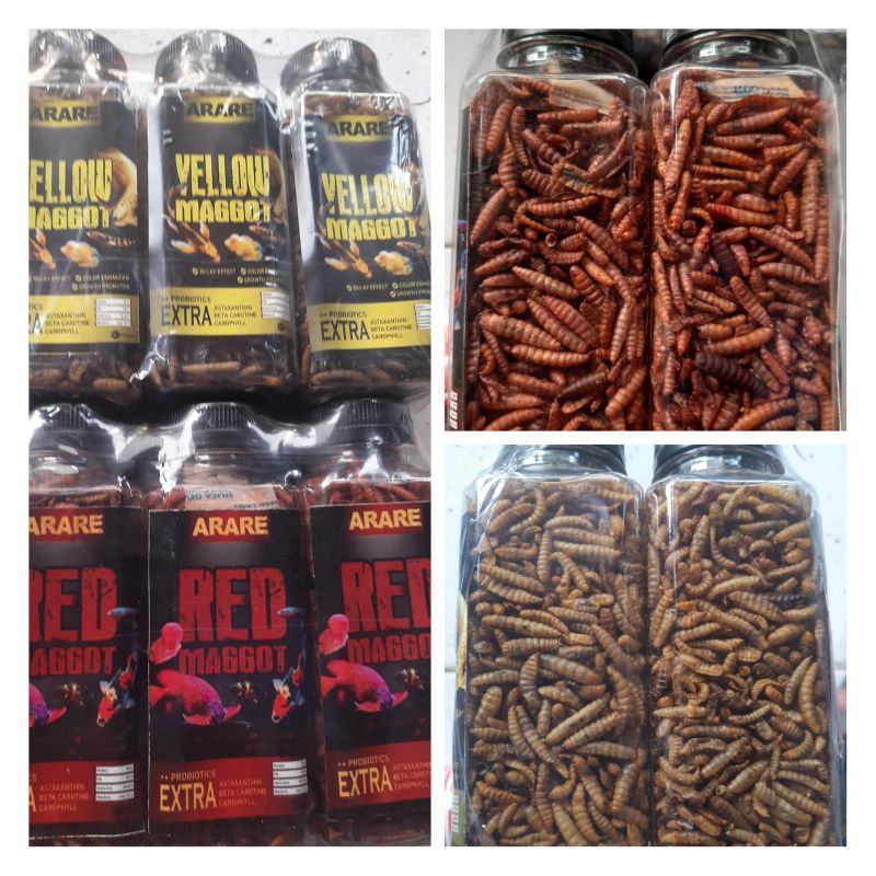 Maggot kering Untuk Pakan ikan