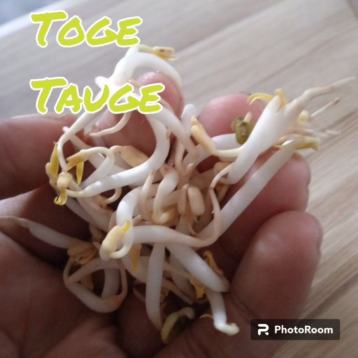 

toge tauge kecambah segar fresh kak bean sprouts berat 170gr