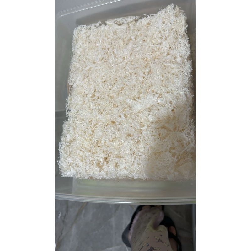 

GOLD NEST-Sarang Burung Walet/ Yanwo Kering Hancuran 1gr