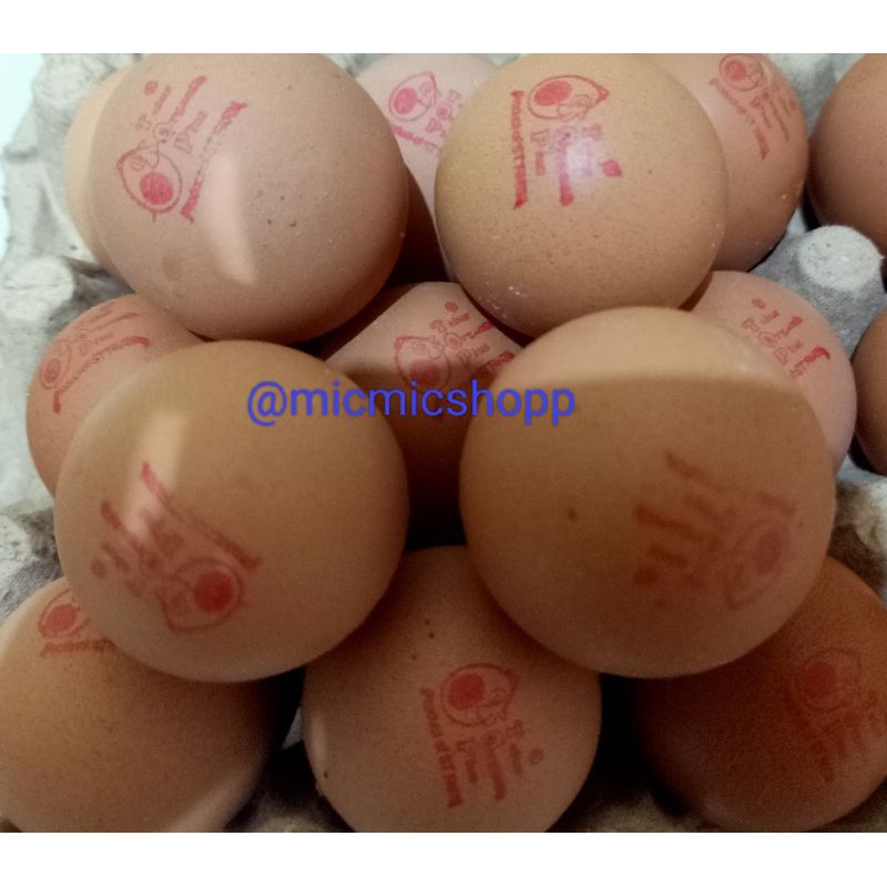 

Telur Omega 3 / Telur Organik Plus dan Telur Ayam Eropa (Per 10 butir)