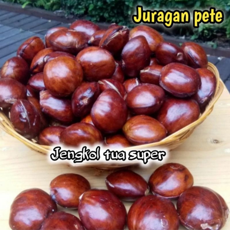 

PROMO JENGKOL TUA SUPER KEMASAN 1KG/JENGKOL TUA SEGAR/JENGKOL MURAH/JENGKOL MUDA/JENGKOL KULIT