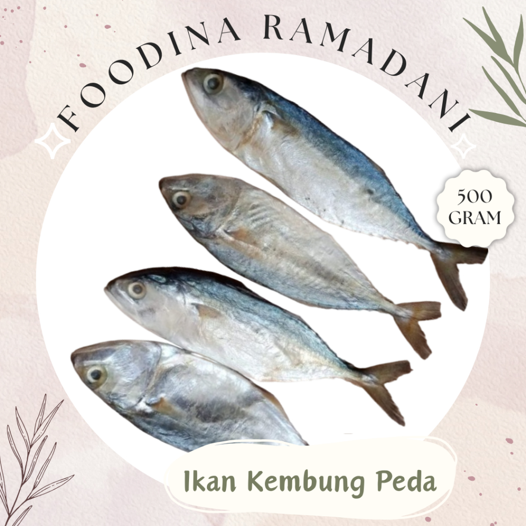 

IKAN KEMBUNG Peda Putih Ikan Asin - Salted Fish Fresh [ Berat 500gr ] Harga Per 0,5 Kg