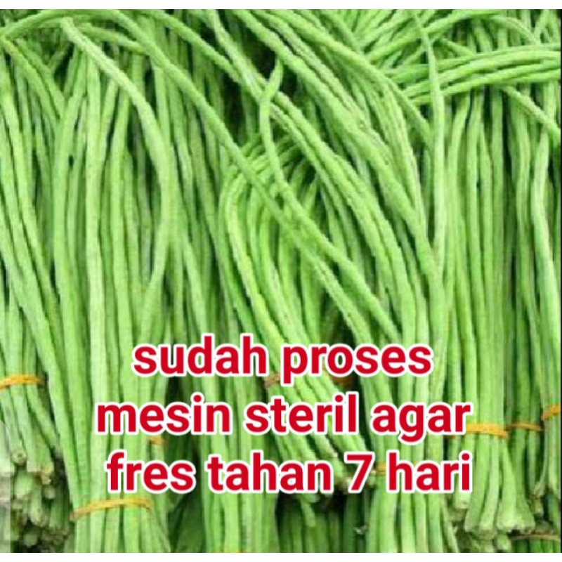 

kacang panjang satu ikat