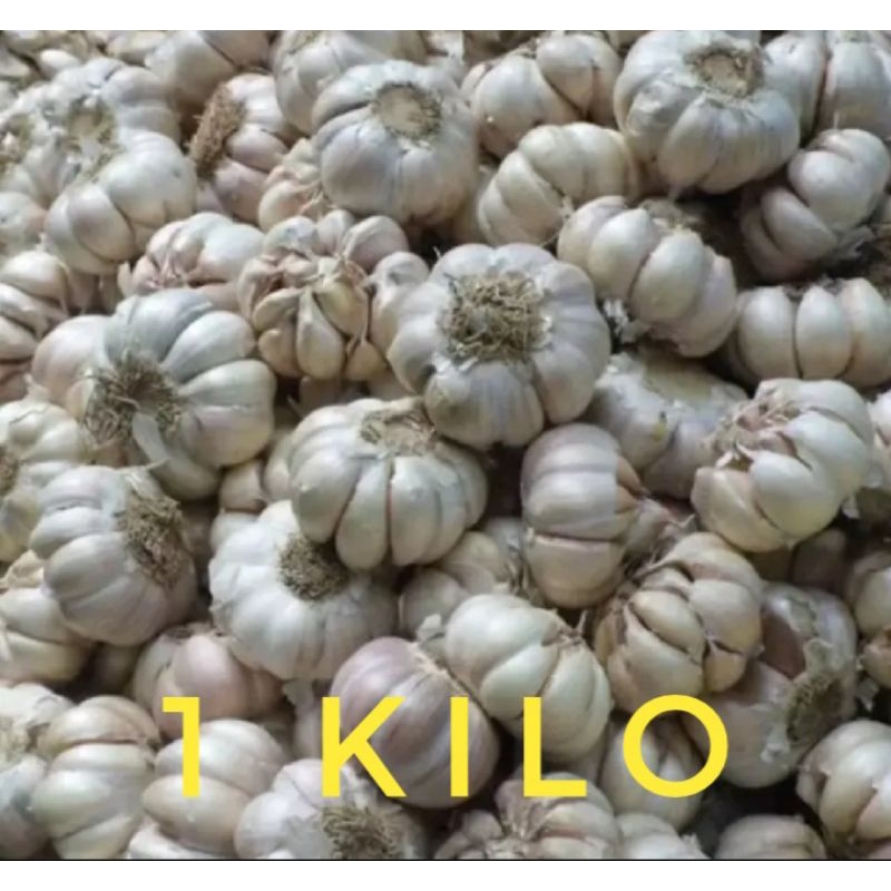 

Bawang putih super harga 1 kilo glosir