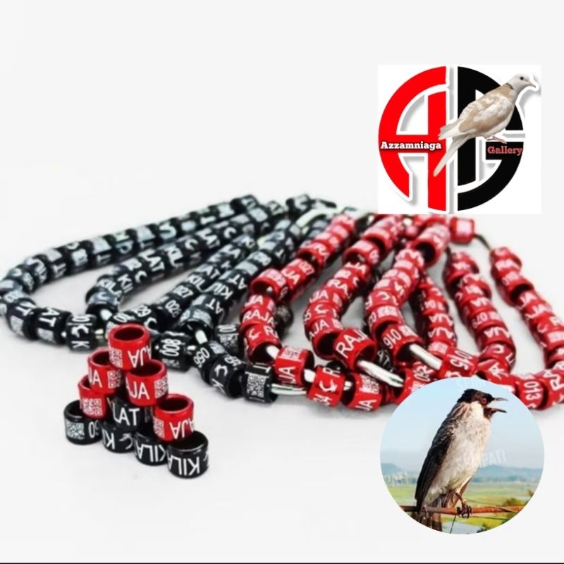 RING KUTILANG  RING BURUNG KUTILANG