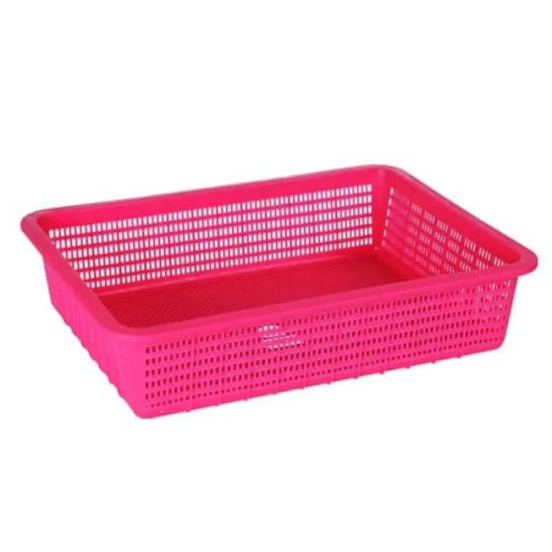 TMP SURAT ESMERALDA 305 GL