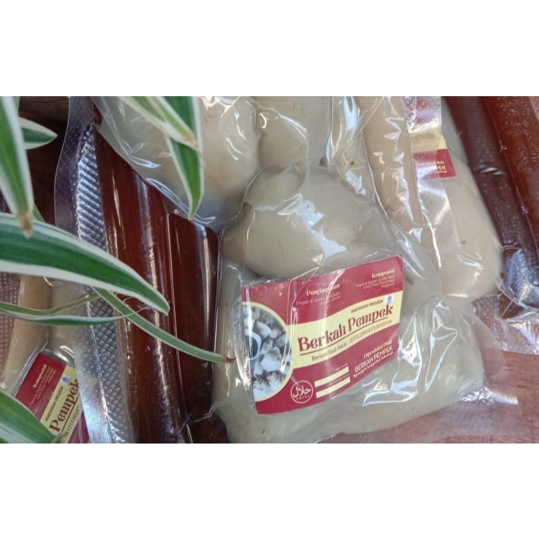 

PAKET PEMPEK BERKAH KHAS PALEMBANG ASLI ISI 10 PCS PLUS CUKO