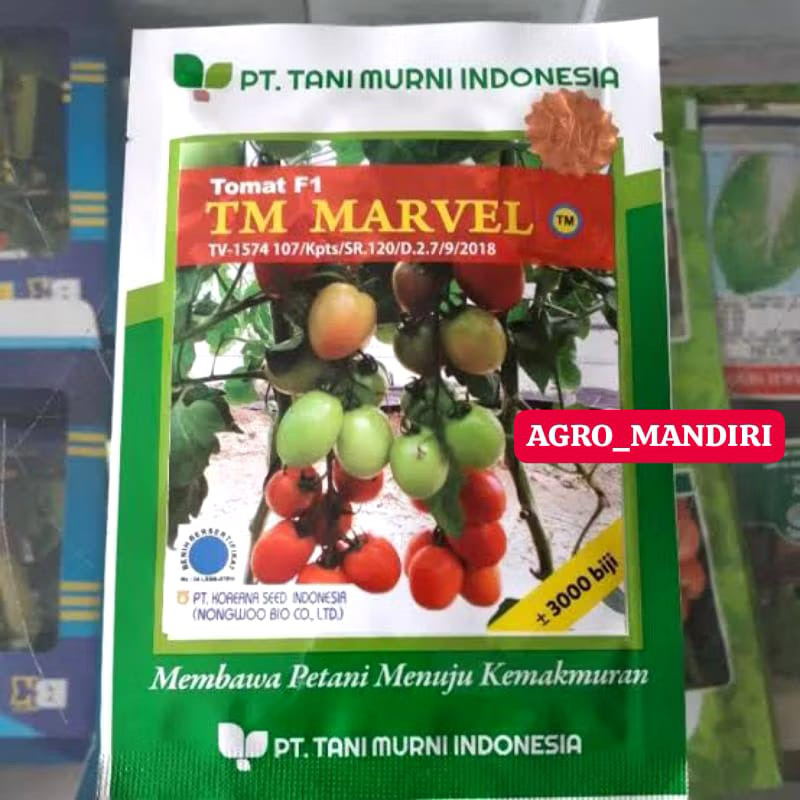 Benih bibit Tomat Hibrida TM MARVEL F1 10 gram 3000 butir