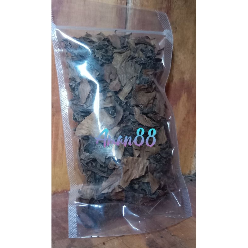 

Daun ekor naga kering siap pakai herbal