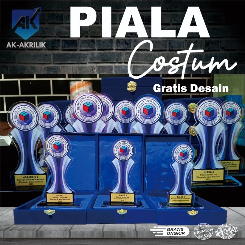 Piala Penghargaan Custom/Akrilik Piala/Plakat Custom/ Tebal 5mm