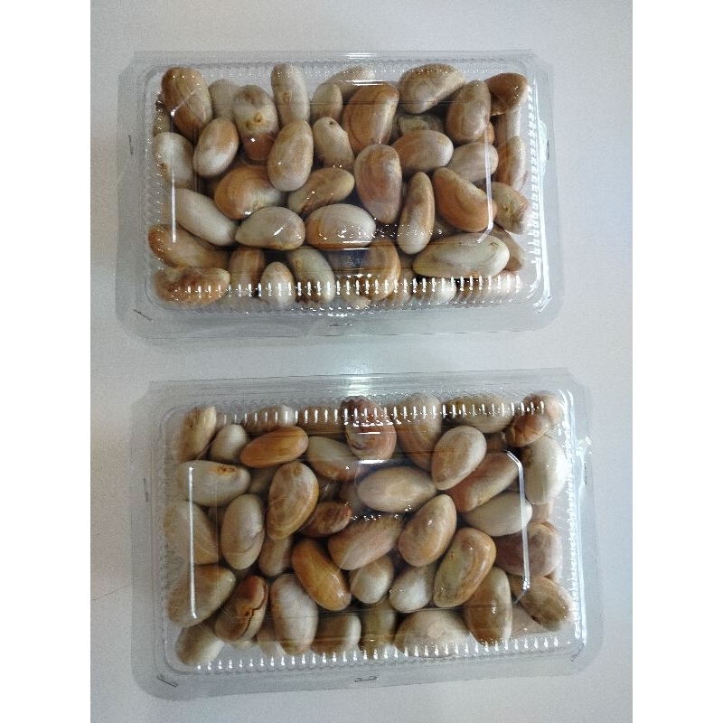 

biji nangka biji beton fresh /500 gram