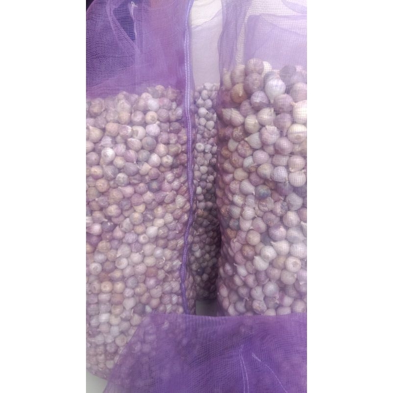 

BAWANG PUTIH TUNGGAL/LANANG 500 GRAM