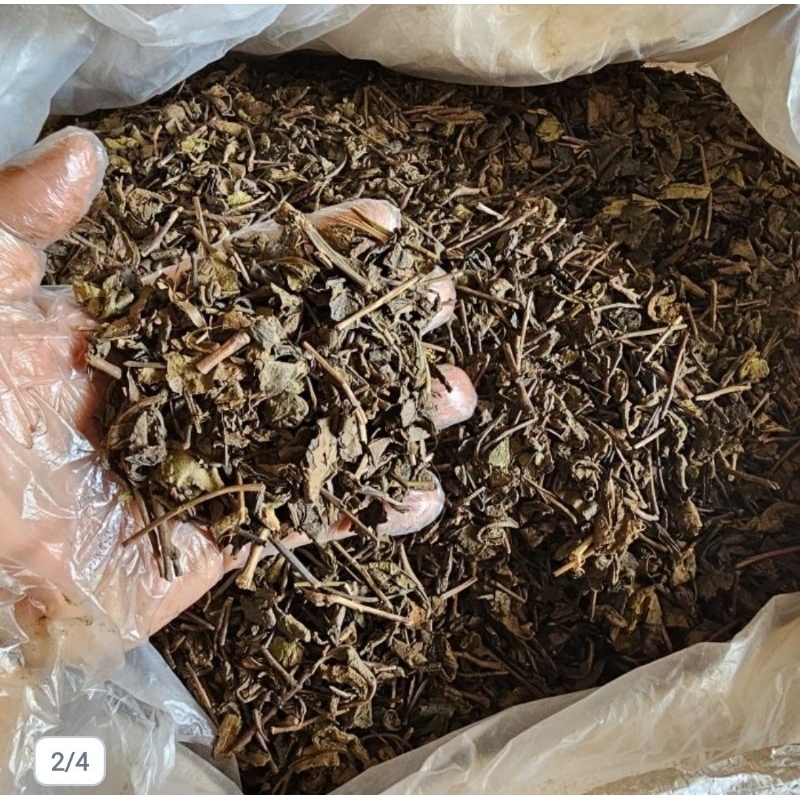 

Teh Hitam - Black Tea - Daun Teh Hitam Kering Asli dan Alami