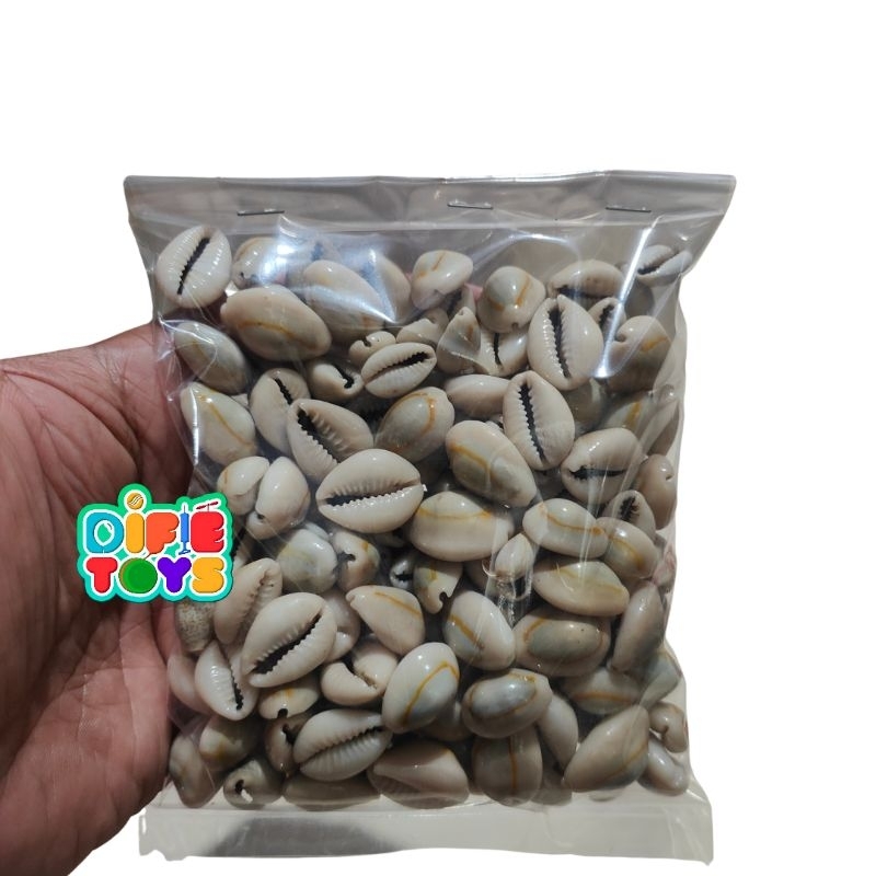 250 gram (-+150 pcs) KUWUK ASLI Biji congklak kerang asli kuwuk asli