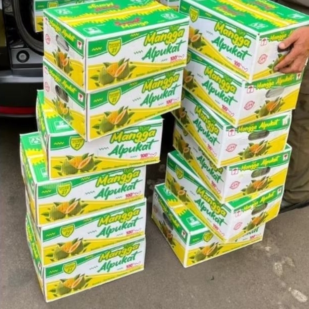 Buah Mangga Alpukat ASLI Klonal 21 Bangil Pasuruan 1 Dus (5kg)