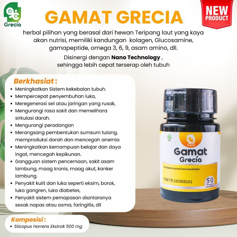 Kapsul Teripang emas gamat kapsul