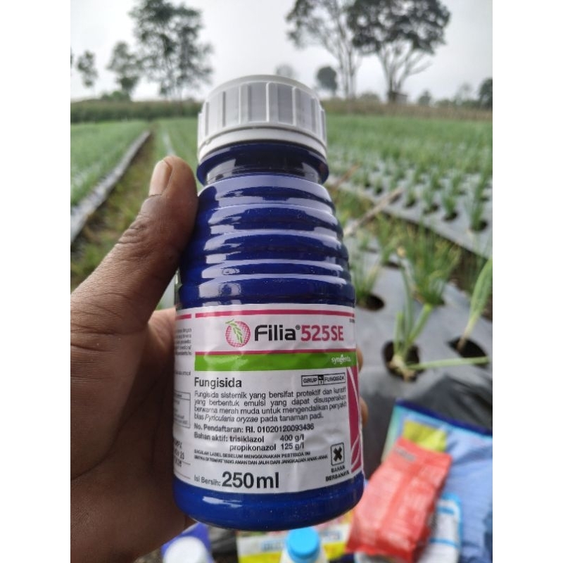 Fungisida Filia 525se kemasan 250ml Produk Original