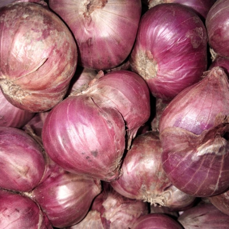 

Bawang merah enrekang