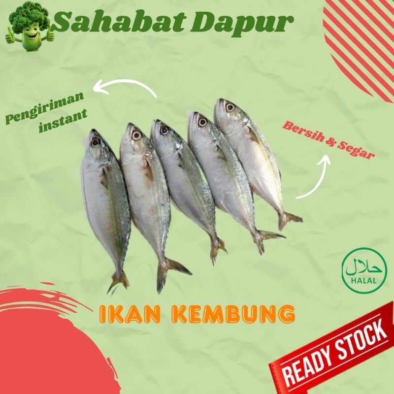 

Ikan Kembung fresh - Ikan segar - Sahabat Dapur Delivery