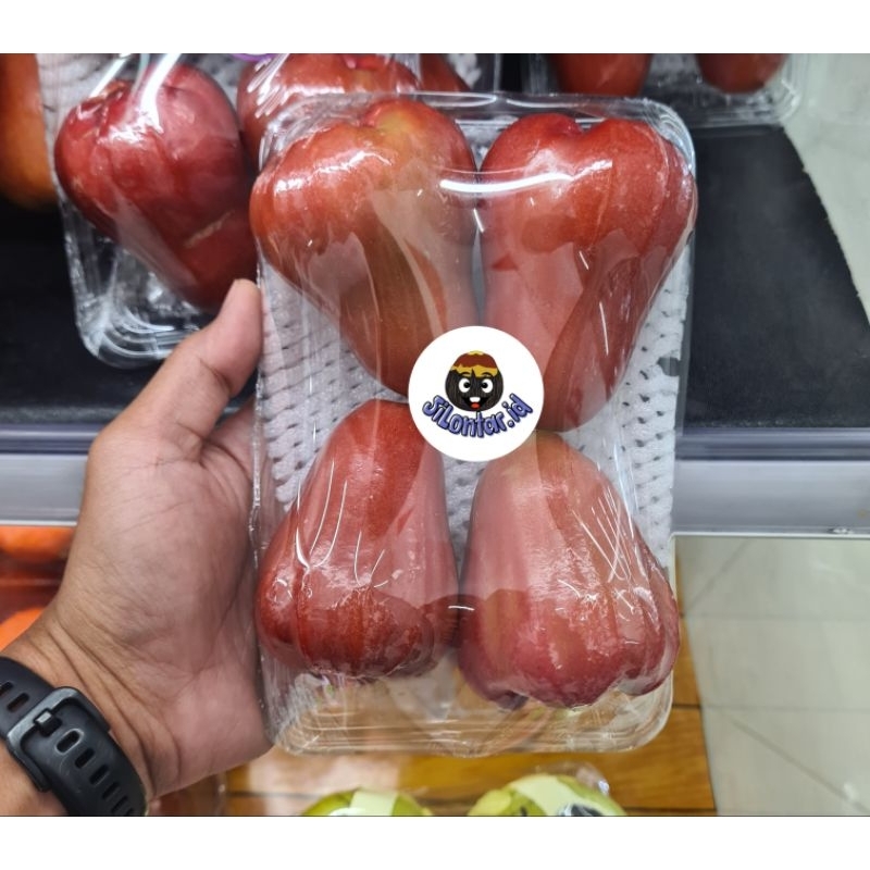 

jambu air king rose | jambu air merah | super dan manis 1 pack 500gram