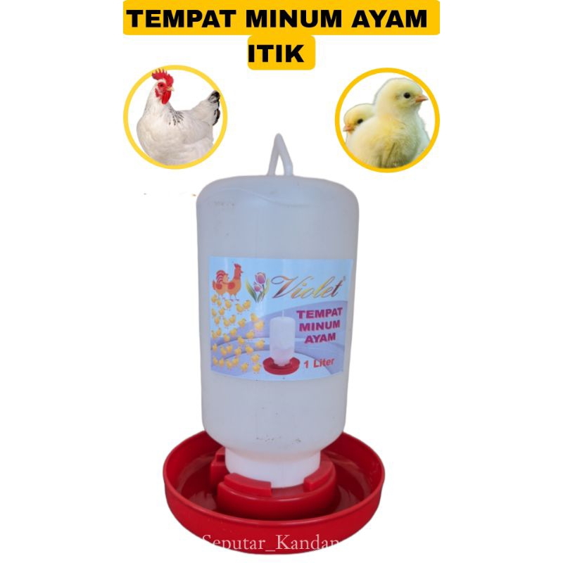 Tempat Minum Ayam 1 Liter TMA 1LITER