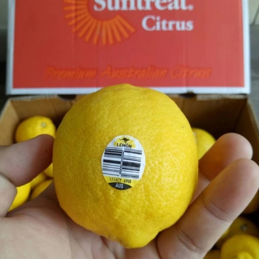 

Jeruk Lemon Australia Kualitas Super 1 Kg