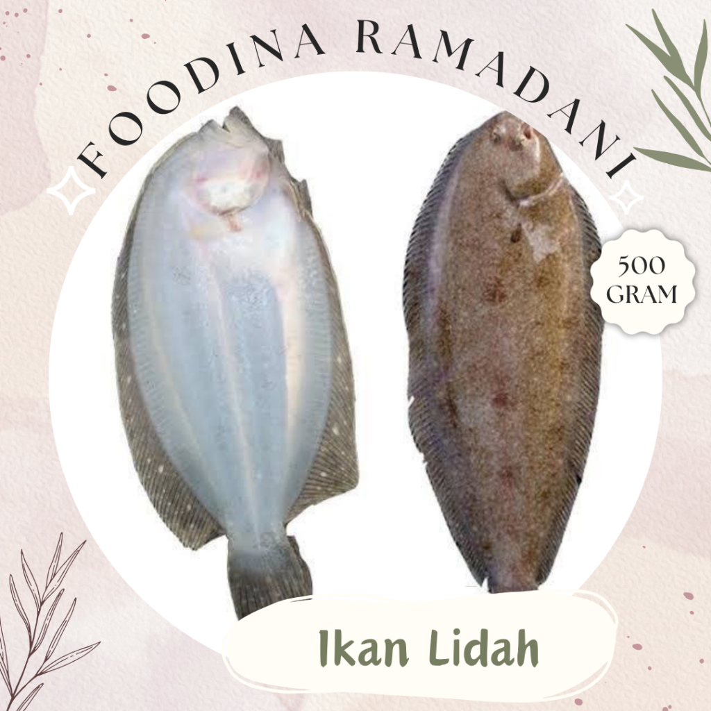 

IKAN LIDAH Sebelah - Tongue sole Fish Fresh [ Berat 500gr ] Harga Per 0,5 Kg