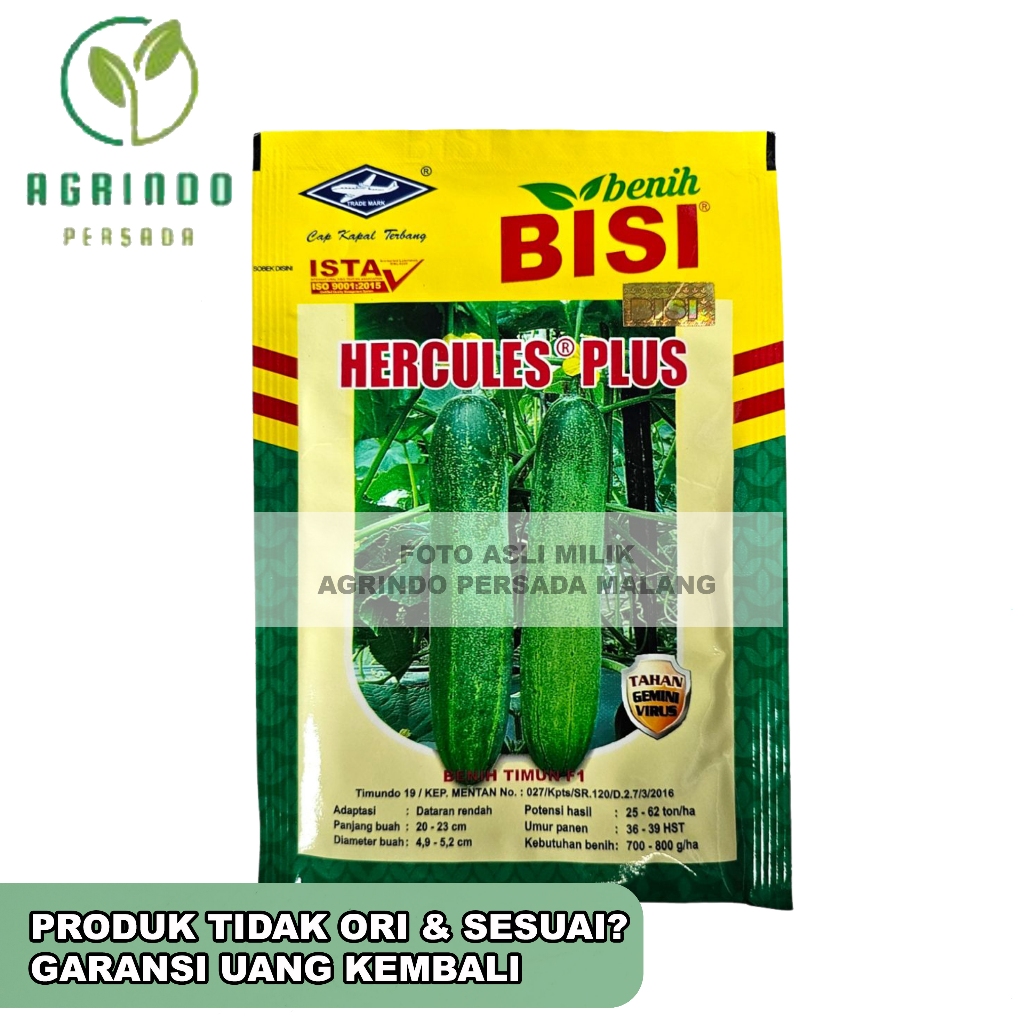 NEW BENIH TIMUN HERCULES PLUS F1 TIMUN 20 GRAM HERCULES PLUS 20 GRAM HERCULES PLUS 20GRAM