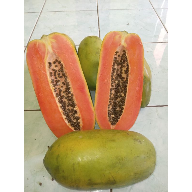 

Buah Pepaya California Premium Fresh Manis