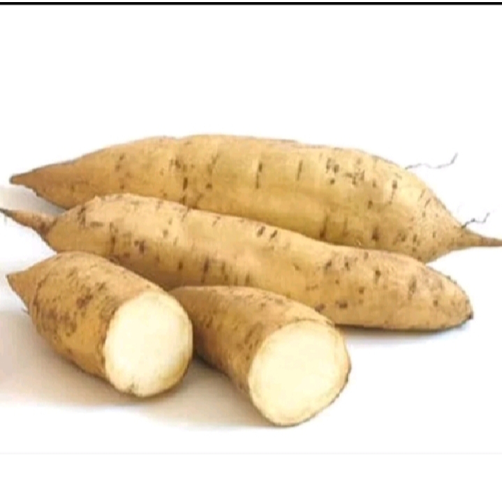 

Ubi madu Cilembu segar 1 kg spek A.B