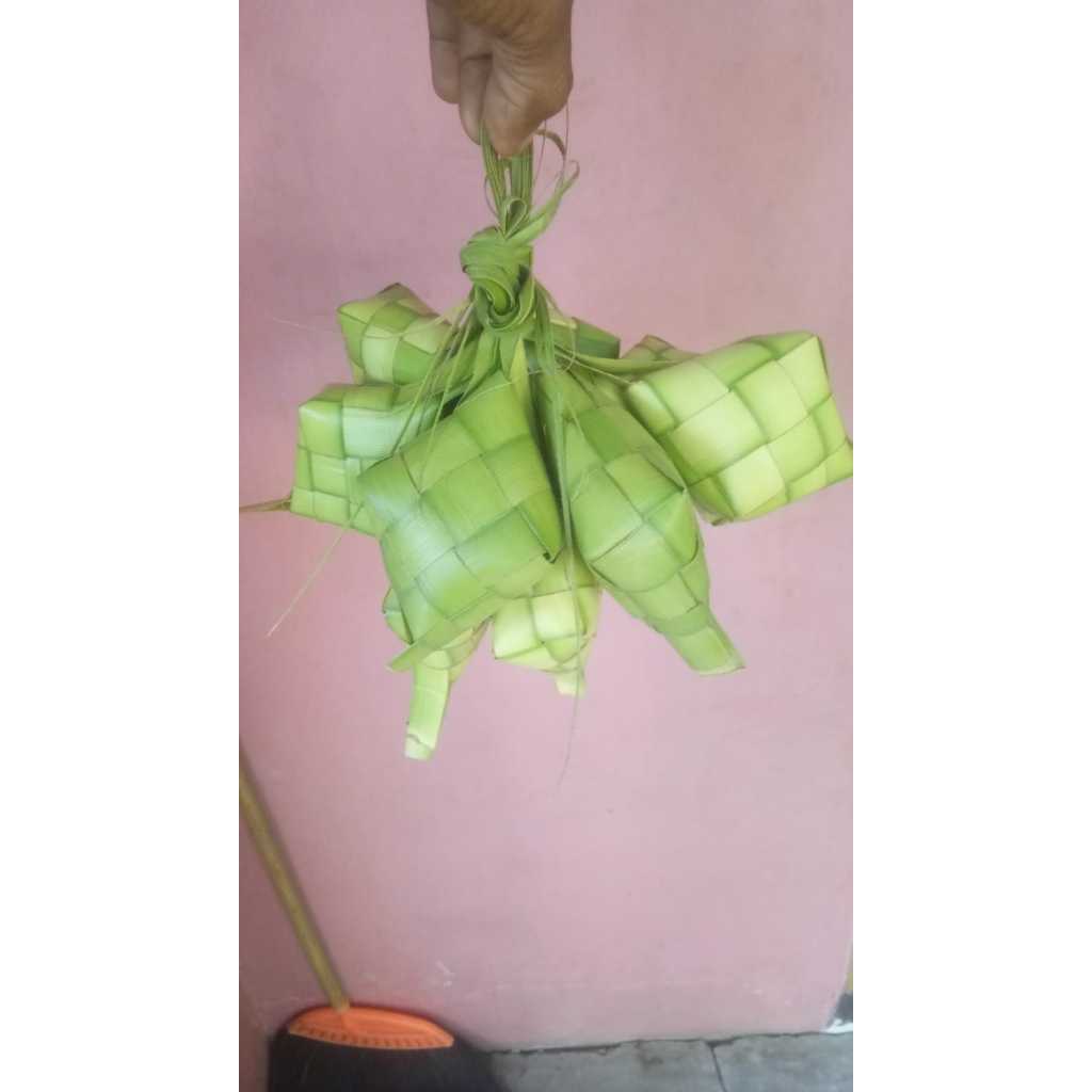 

CANGKANG KETUPAT 1 IKAT ISI 10
