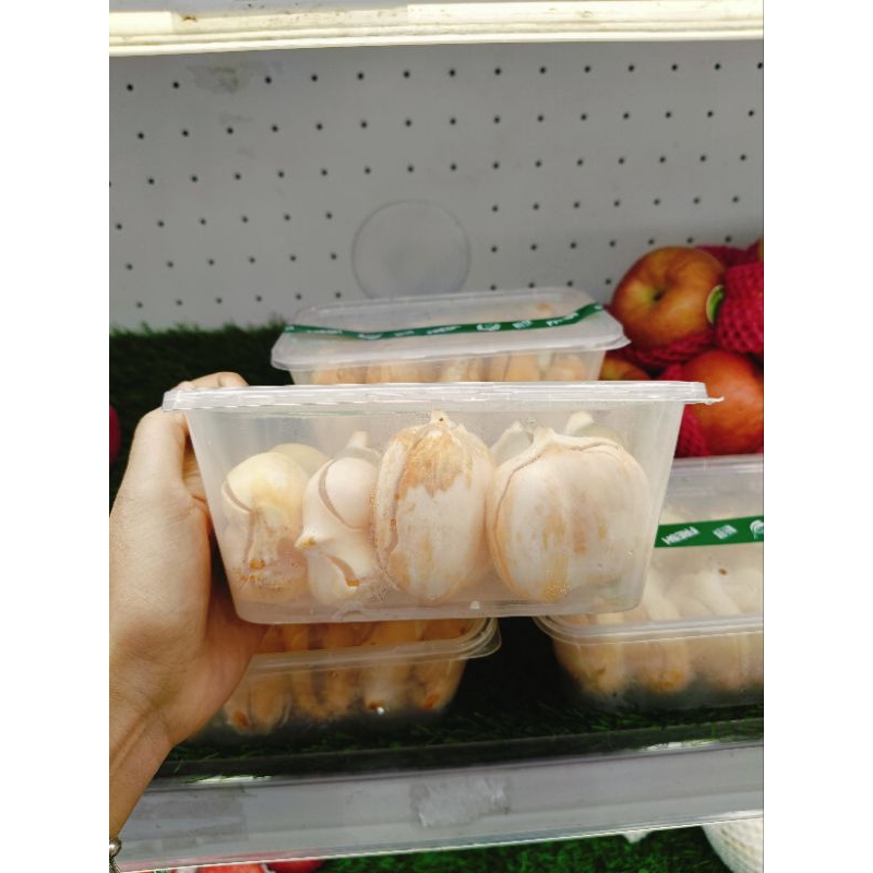 

Buah lontar