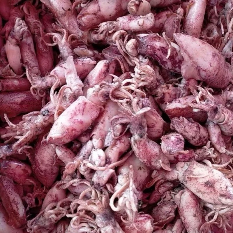 

ikan asin cumi asin sedang