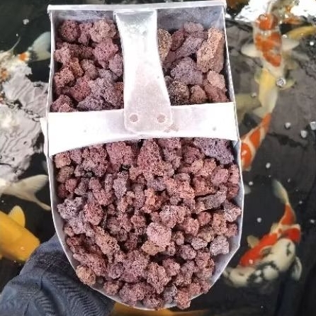 Batu koral merah / kerikil lava rock dekorasi taman / media filter